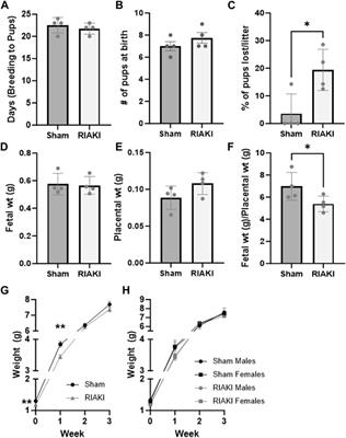 Parental recovered acute kidney injury causes prenatal renal dysfunction and fetal growth restriction with sexually dimorphic implications for adult offspring